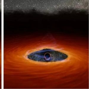 Meet your Posher, Ivan